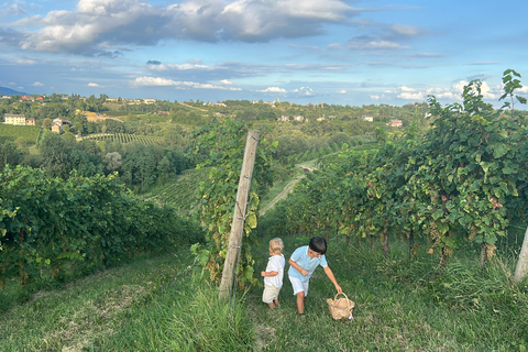 بروسيكو: وليمة النبيذ والطعام في أوستريا عائلية