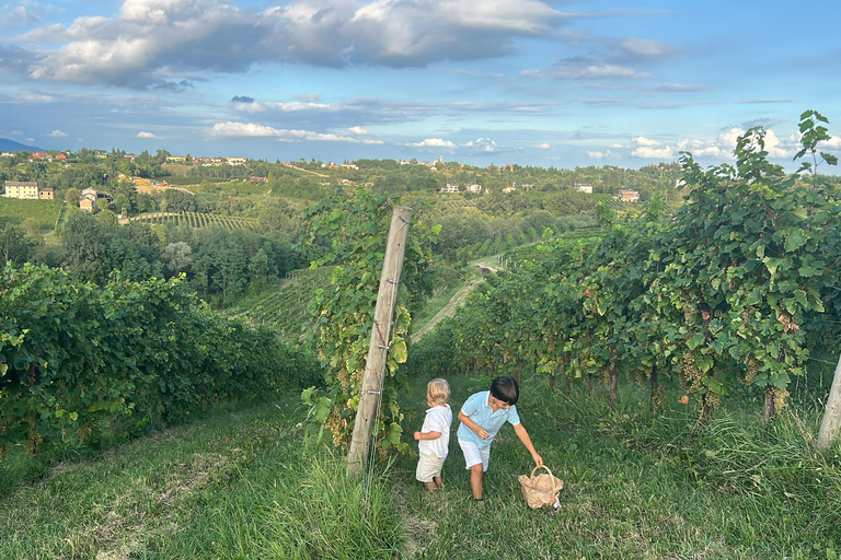 بروسيكو: وليمة النبيذ والطعام في أوستريا عائلية