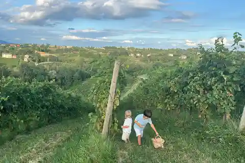 Prosecco: Wine & Food Feast in Family Osteria