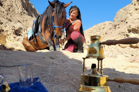 الغردقة: جولة ركوب الخيل في الصحراء والبحر مع خيار السباحةجولة لمدة ساعتين لركوب الخيل بدون السباح