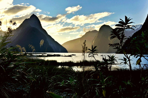 Milford Sound Scenic Tour – Small Group from Queenstown