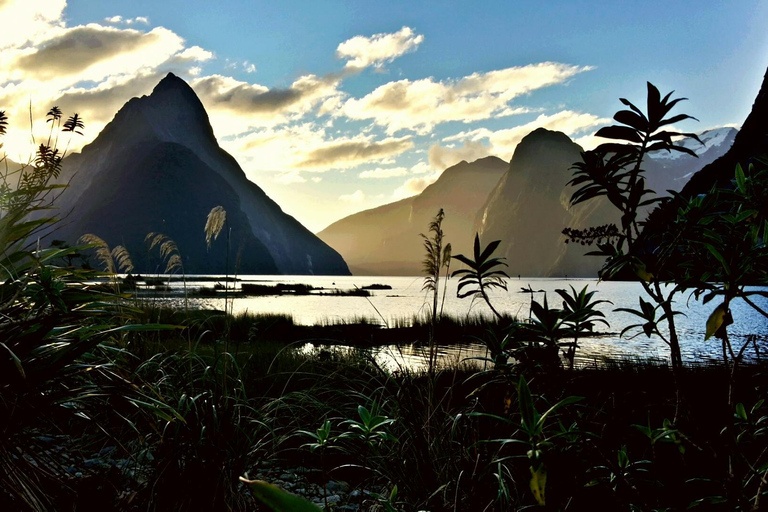 Milford Sound Scenic Tour – Small Group from Queenstown