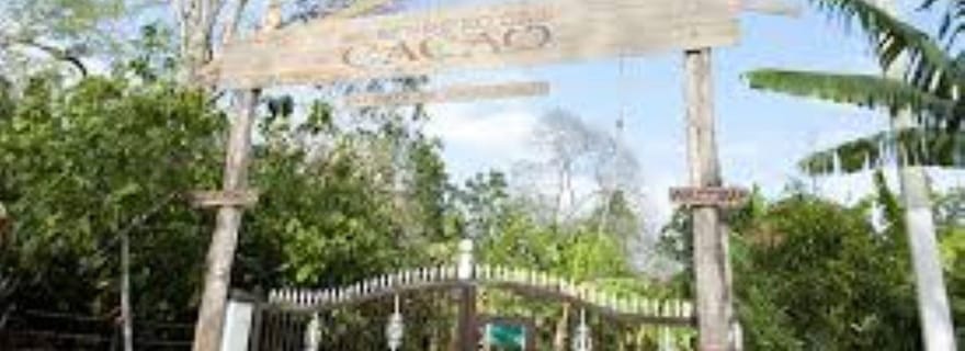 Visite Privée d'une Plantation de Cacao avec Déjeuner et Dégustation