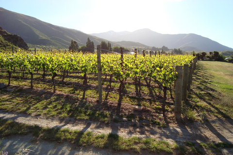 Queenstown: Premium Wine Tasting Tour
