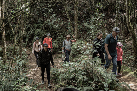 Medellín Hiking, Santa Elena – Arví Park, Forests, and Lagoon