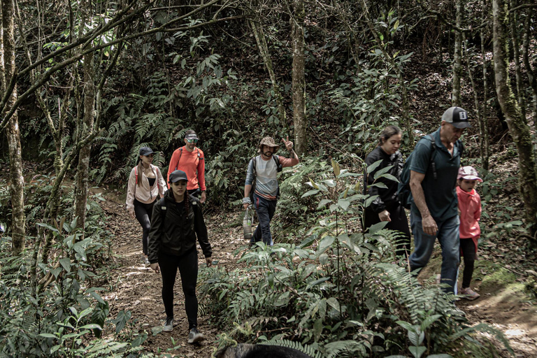 Medellín Hiking, Santa Elena – Arví Park, Forests, and Lagoon