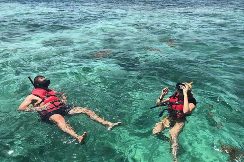 Eco Speedboat Snorkeling Experience from Punta Cana