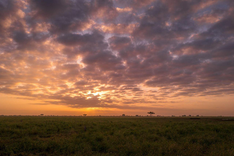 Safari w Amboseli, Tsavo East, Tsavo West i Sanktuarium