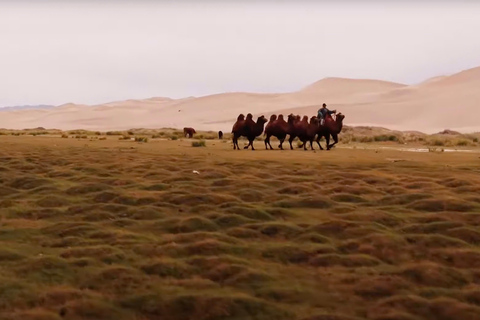 Von Ulaanbaatar: 7-tägige Selbstfahrer-Tour durch die Wüste GobiVon Ulaanbaatar aus: 7-tägige Selbstfahrer-Tour durch die Wüste Gobi