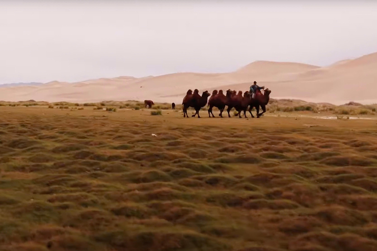 Von Ulaanbaatar: 7-tägige Selbstfahrer-Tour durch die Wüste GobiVon Ulaanbaatar aus: 7-tägige Selbstfahrer-Tour durch die Wüste Gobi