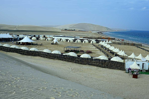 Doha: Desert Safari with Quad Biking ATV Tour