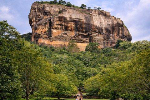 Sigiriya Rock, Dambulla Cave & Cart Rides One Day Trip Luxury Tour from Colombo, Negombo or Mount Lavinia