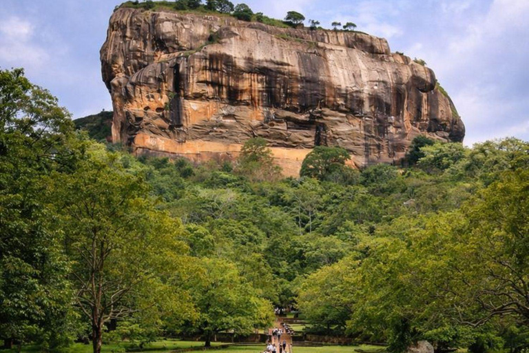 Sigiriya Rock, Dambulla Cave & Cart Rides One Day Trip Luxury Tour from Colombo, Negombo or Mount Lavinia