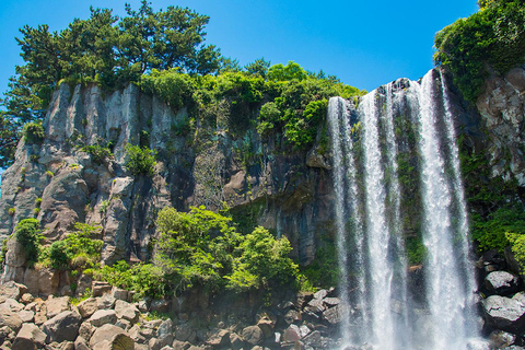 Jeju: UNESCO South & East Highlights 2 Days Combo Tour