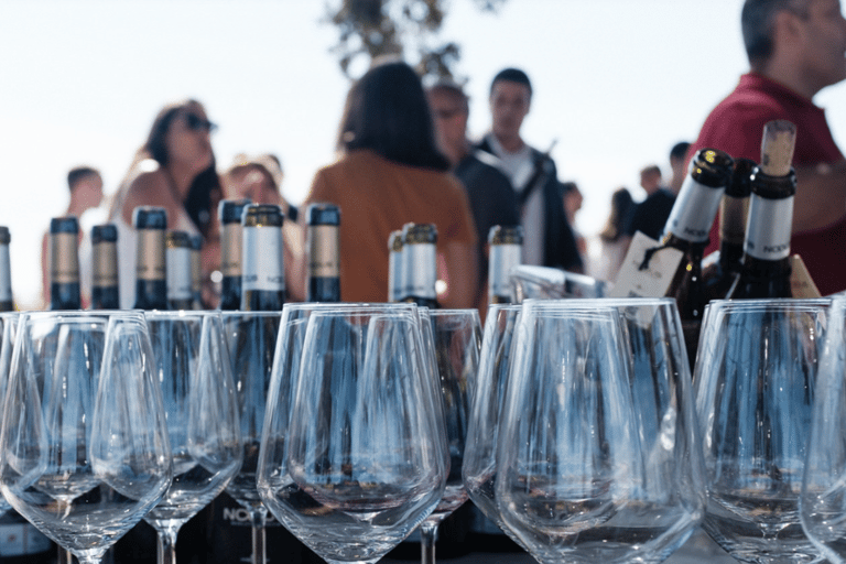 Requena: Bodegas Nodus Winery Tour and Wine Tasting