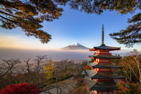 Da Tokyo: Escursione privata di un giorno al Monte Fuji o a HakoneItinerario A: Monte Fuji