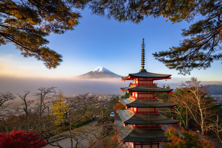 From Tokyo: Mt. Fuji or Hakone Private Sightseeing Day Trip Itinerary A: Mount Fuji