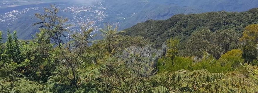 Réunion : Excursion en 4x4 au Dimitile - Journée Complète