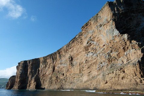 Terceira Island: Whale Watching + Ilhéus das Cabras Private Pack | Small Boat 12 pax