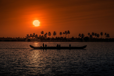 From Cochin: Fort Kochi Same Day Tour with Dutch Palace