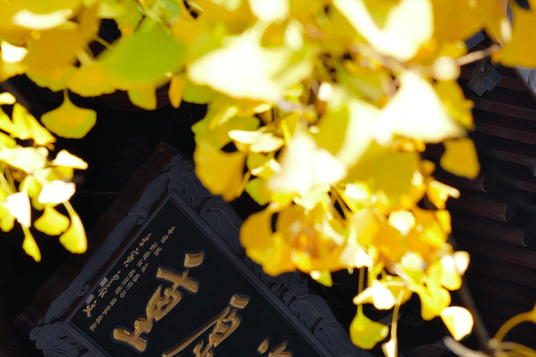 Shanghai Hanzi Meditation Experience at Jade Buddha Temple