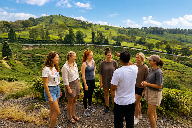 Jakarta: White Crater, Sky Bridge & Hot Springs Premium Tour Bandung: White Crater, Bridge & Hot Springs Tour