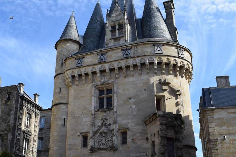 Bordeaux: visita la città in bicicletta