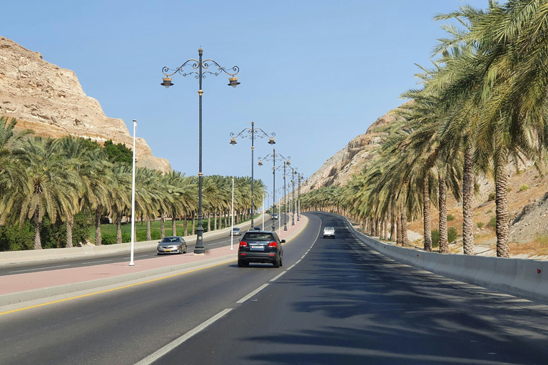 Muscat: Night Tour [ Sightseeing ]