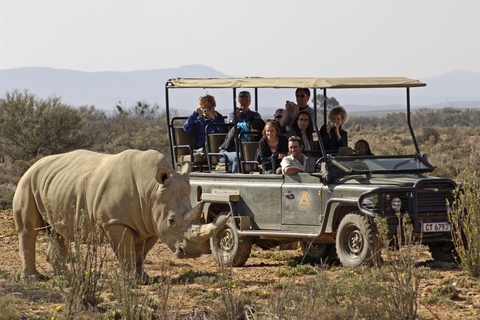 Da Zanzibar: Safari di un giorno nella Selous Game Reserve con volo