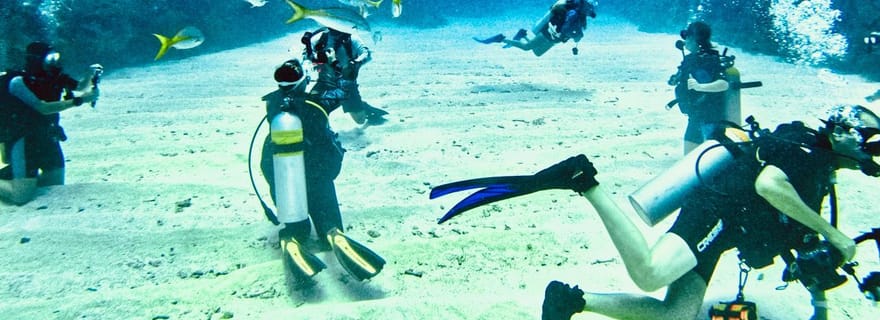 Ambergris Caye : Découvrez la plongée sous-marine