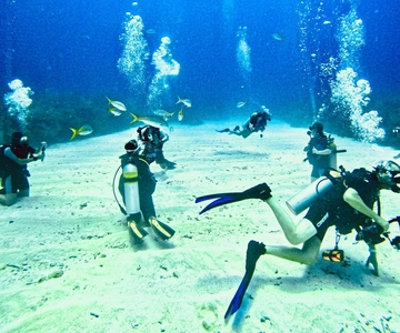 Ambergris Caye: Discover Scuba Diving Experience