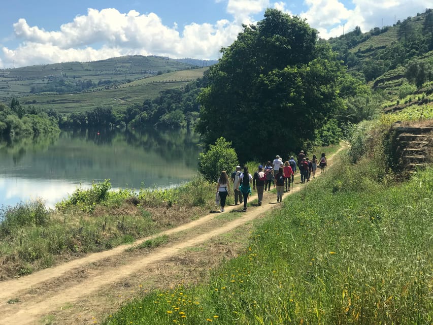 Quinta da Pacheca randonnée avec déjeuner complet et dégustation de