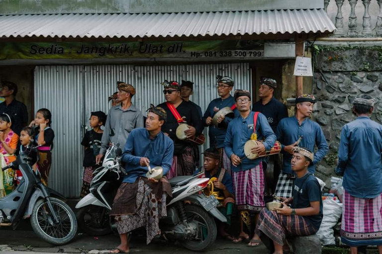 Ubud: Discesa in bicicletta con vulcano, terrazze di riso e pasto