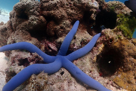 Phuket: 2 Racha Islands, Snorkeling from Yacht, Full-Day Hotel Transfer Available