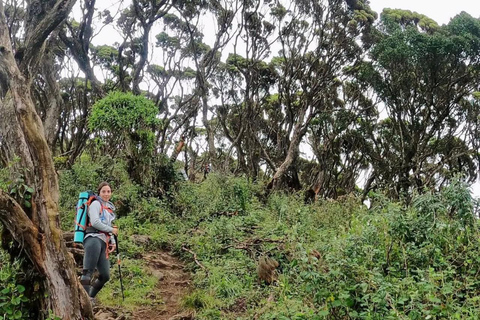 Nairobi: Double Summit Aberdares Day Hike
