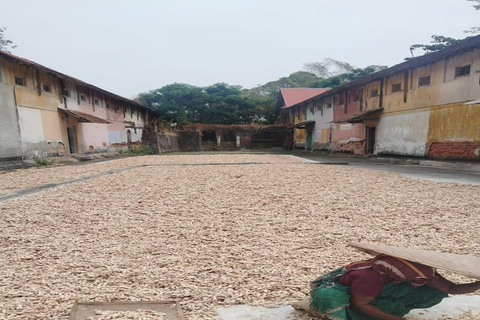 Kochi: Tuk-Tuk-Ausflug mit versteckten SchätzenKochi: Ausflug mit dem Tuk-Tuk zu versteckten Schätzen