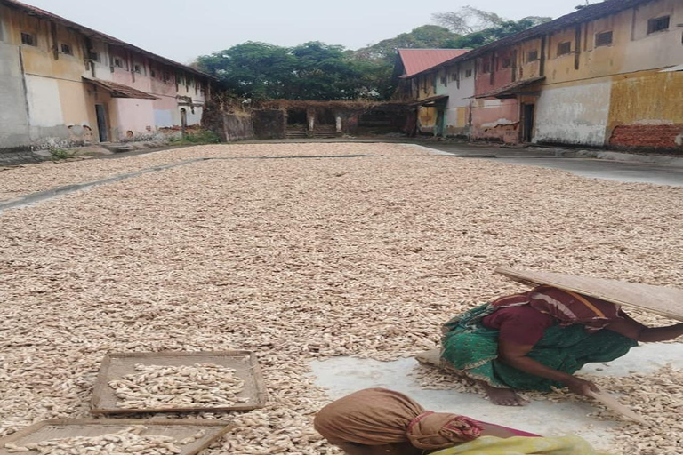 Kochi: Tuk-Tuk-Ausflug mit versteckten SchätzenKochi: Ausflug mit dem Tuk-Tuk zu versteckten Schätzen