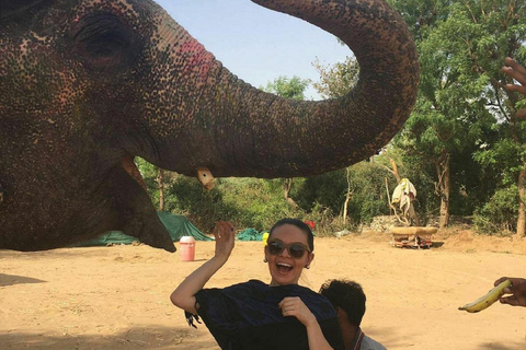 Jaipur: Hathigao Elephant Village Ride, Feeding, & Photos Riding, Feeding, Climbing And Photography with Elephant