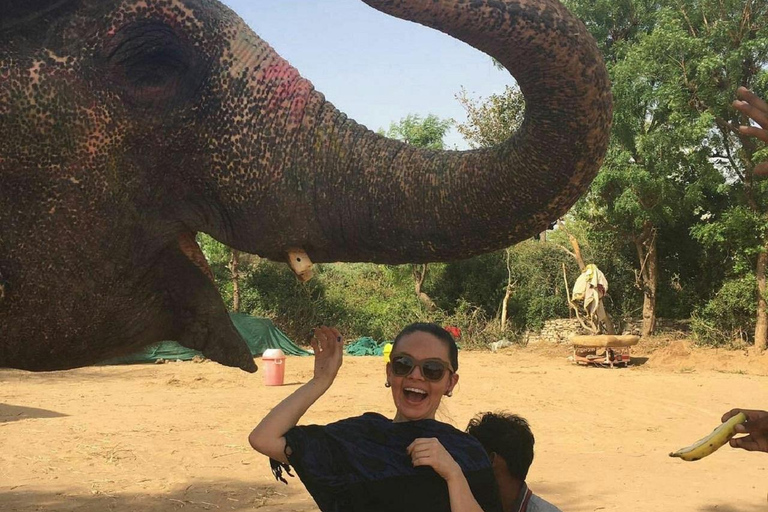 Jaipur: Hathigao Elephant Village Ride, Feeding, & Photos Riding, Feeding, Climbing And Photography with Elephant