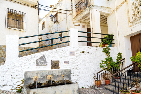 Visit the Alpujarra of Granada: Pampaneira, Bubión and Soportújar Shared from Almuñécar.
