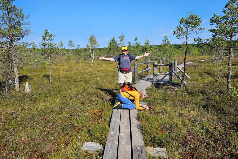 Ķemeri Great Bog With Optional Sunrise & Jūrmala Visit Ķemeri Bog Shared Small Group Tour
