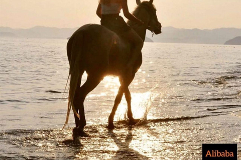 Fethiye: Paseos a caballo por el mar, bosque botánico, costa y playa.Fethiye Equitación en el Mar, Bosque Botánico, Equitación en la Costa y la Playa