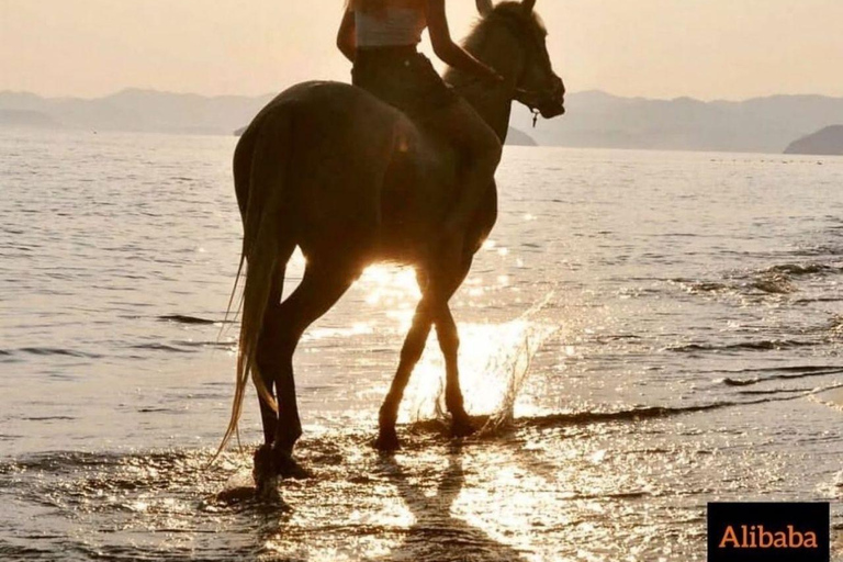 Fethiye: Paseos a caballo por el mar, bosque botánico, costa y playa.Fethiye Equitación en el Mar, Bosque Botánico, Equitación en la Costa y la Playa