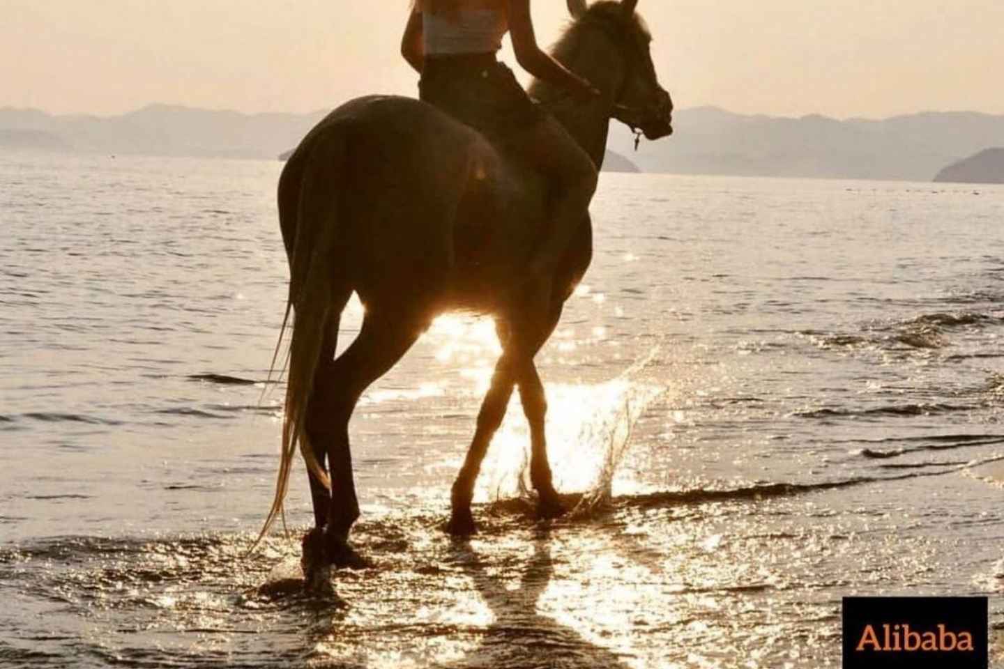 Fethiye Horse Riding in the Sea, Botanical Forest, Beach and Coastal Horseback Riding