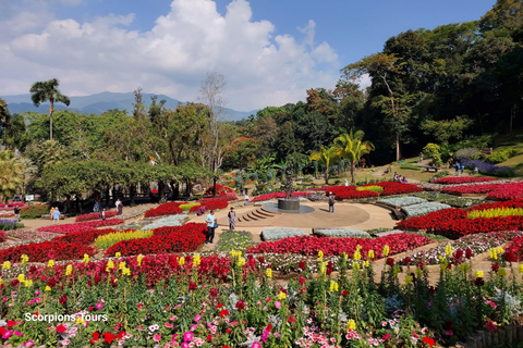 Chiang Rai: Mountains Discovery Doi Mae Salong & Doi Tung Mountains Discovery:Doi Mae Salong & Doi Tung (Private Tour)