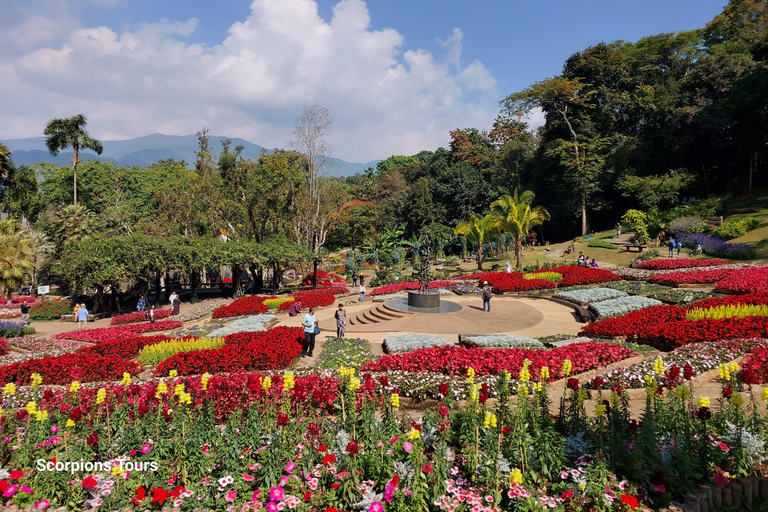 Chiang Rai: Mountains Discovery Doi Mae Salong & Doi Tung Mountains Discovery:Doi Mae Salong & Doi Tung (Private Tour)