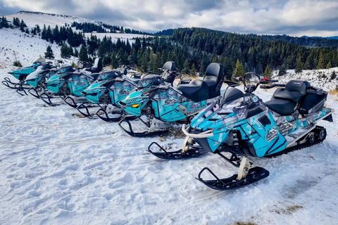 Wycieczka na skuterach śnieżnych w górach BucegiWycieczka na skuterach śnieżnych z przewodnikiem