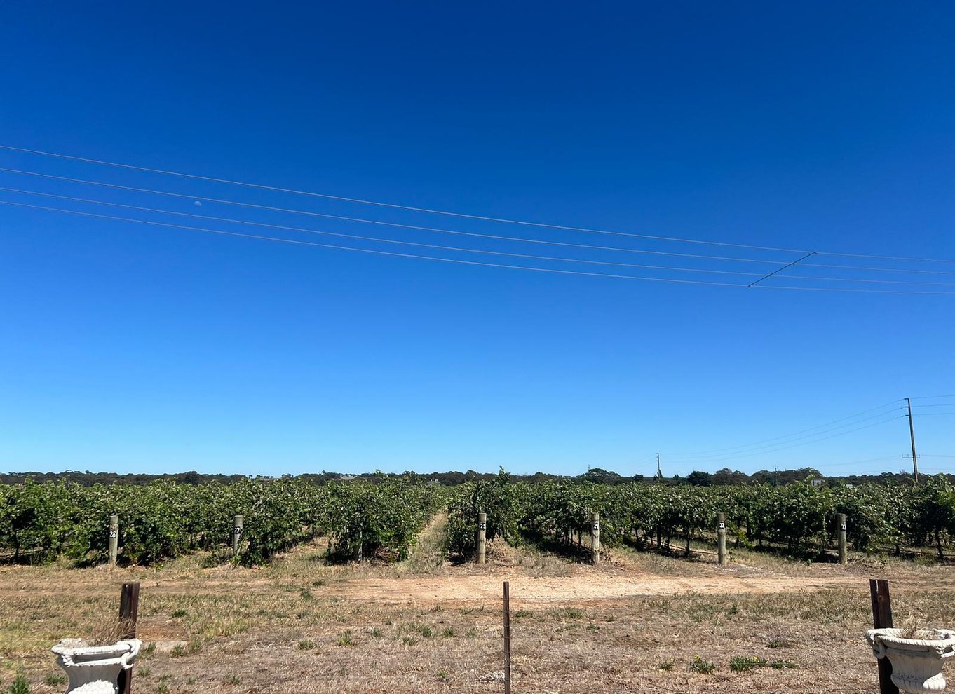 Fra Adelaide: Barossa Valley mad- og vintur
