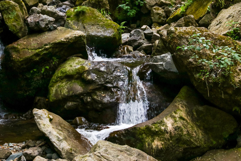 From Batumi: Mountain Adjara Village & Food Day Trip