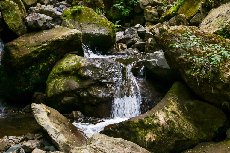 From Batumi: Mountain Adjara Village & Food Day Trip